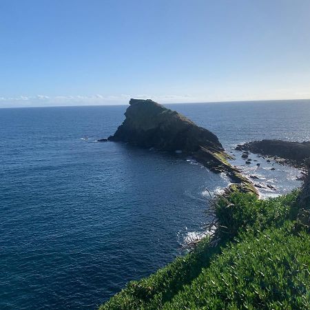 Casa Da Luz Villa Ponta Delgada Eksteriør billede